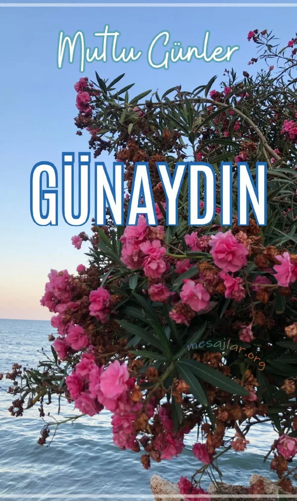 resimli günaydın iyi sabahlar mesajı