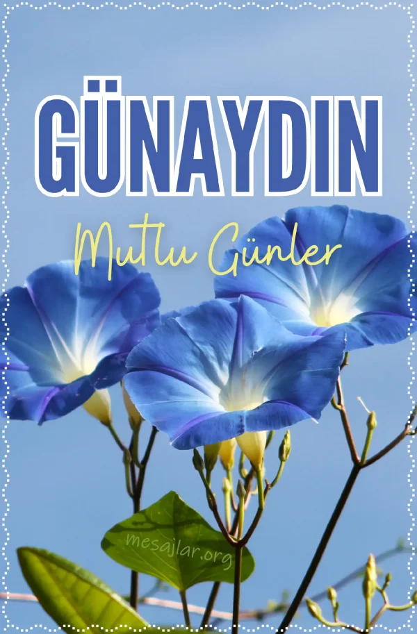 resimli günaydın iyi sabahlar mesajı