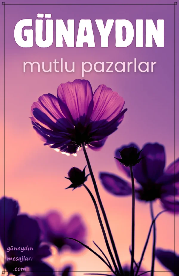 resimli günaydın mutlu pazarlar mesajı