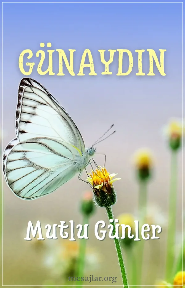 resimli günaydın iyi sabahlar mesajı