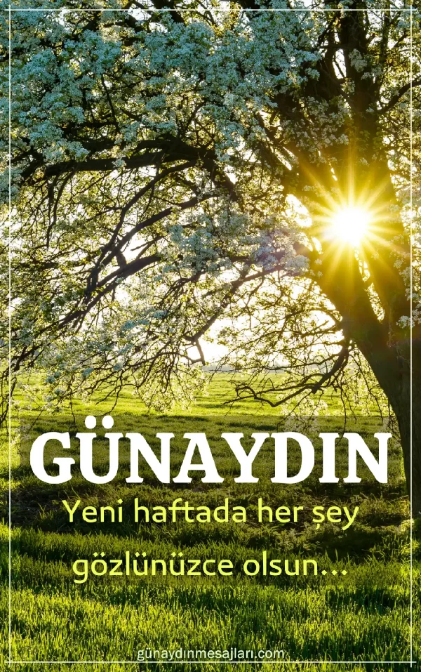 pazartesi günü için resimli günaydın mesajı