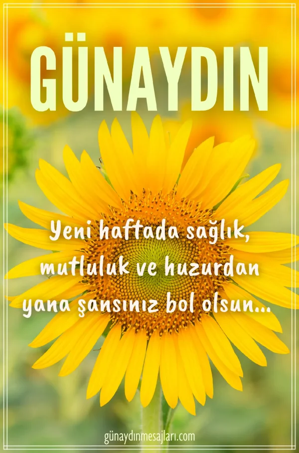 pazartesi günü için resimli günaydın iyi sabahlar mesajı