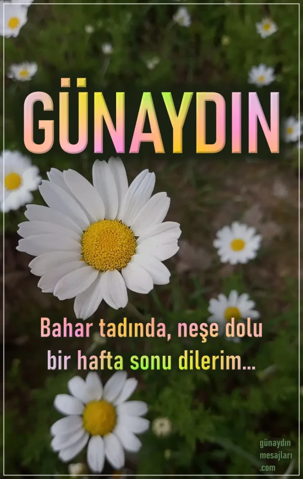 resimli hafta sonu günaydın iyi sabahlar mesajı
