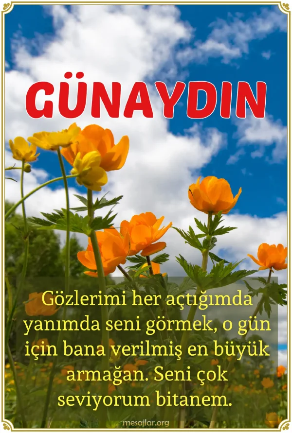 sevgiliye resimli günaydın mesajı