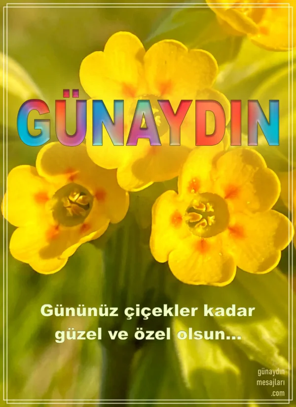 resimli günaydın iyi sabahlar mesajı