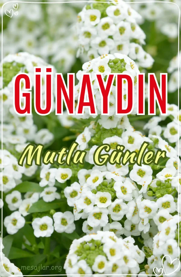 resimli günaydın iyi sabahlar mesajı
