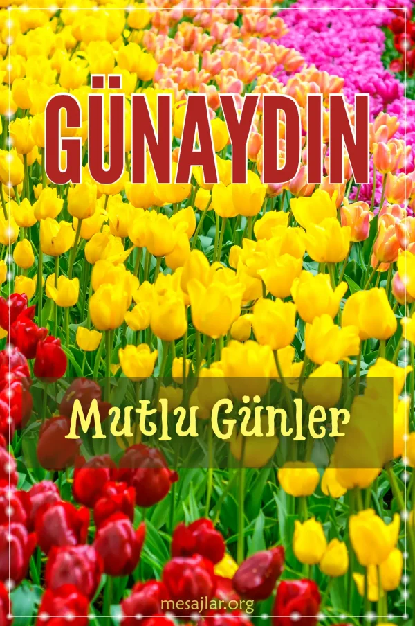 resimli günaydın mutlu günler mesajı