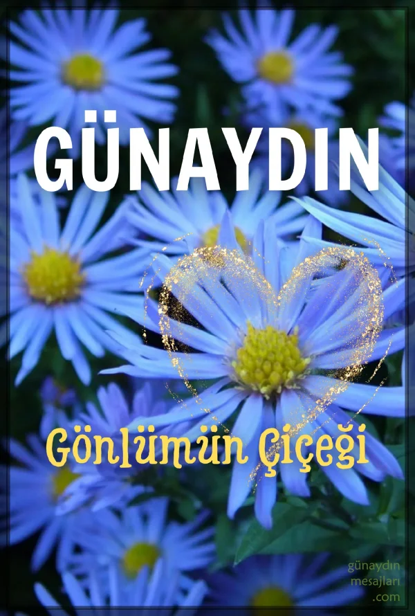 resimli günaydın iyi sabahlar mesajı