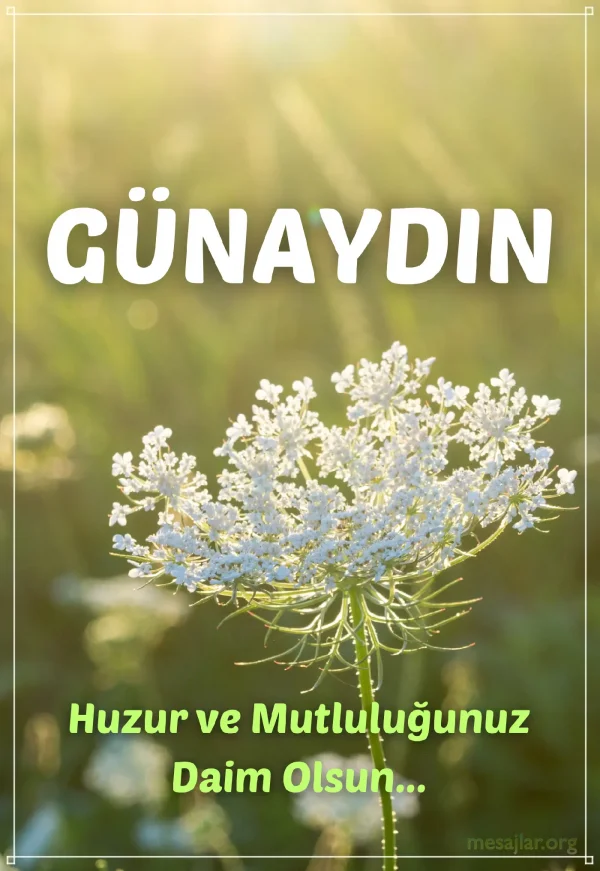 resimli günaydın iyi sabahlar mesajı