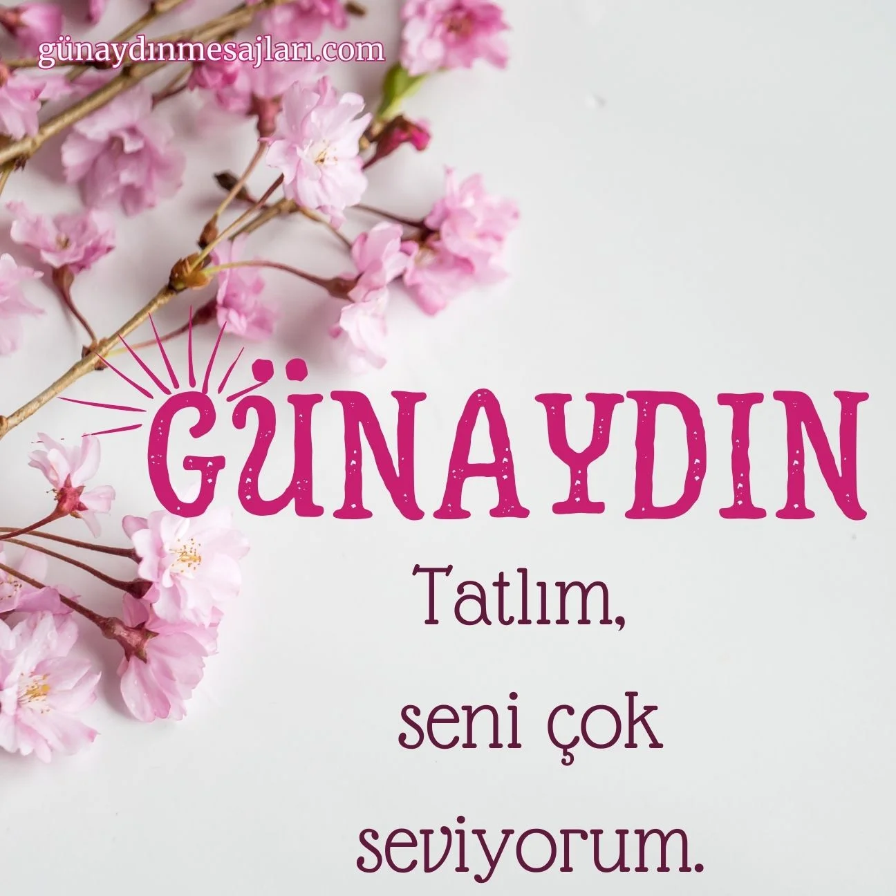 resimli günaydın tatlım mesajı