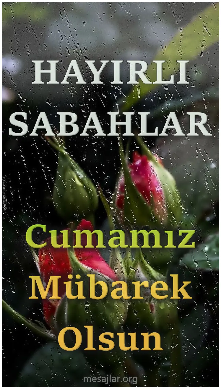 cuma günü resimli hayırlı sabahlar mesajı