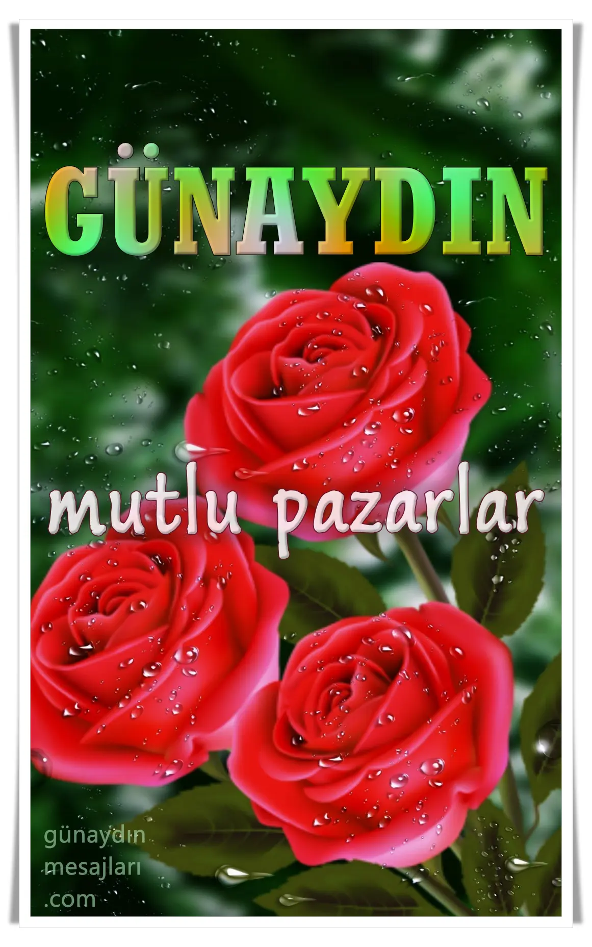 pazar günü resimli günaydın mesajı