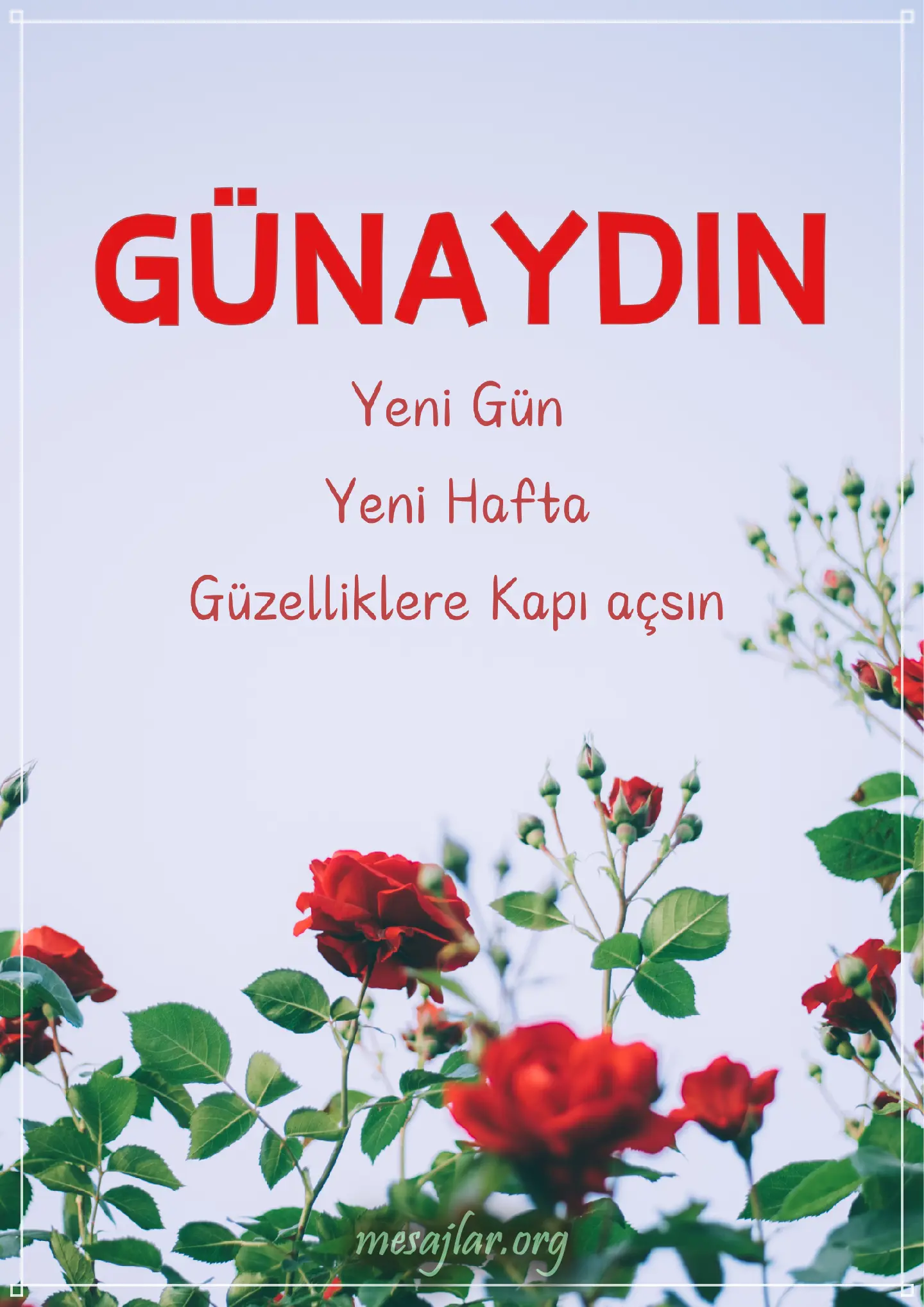 Pazartesi resimli günaydın iyi sabahlar mesajı