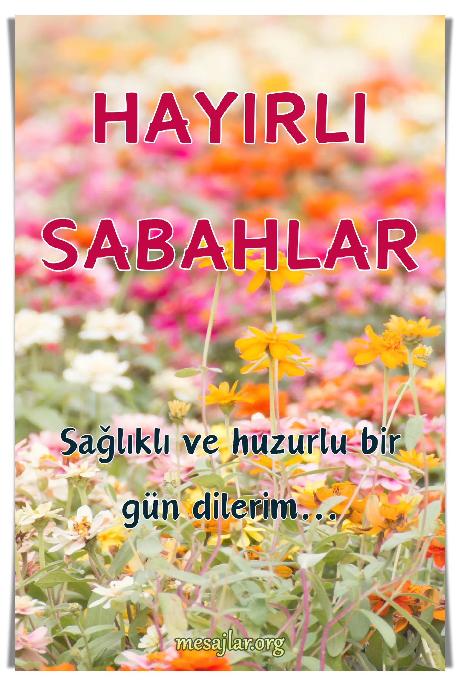 resimli günaydın hayırlı sabahlar mesajı