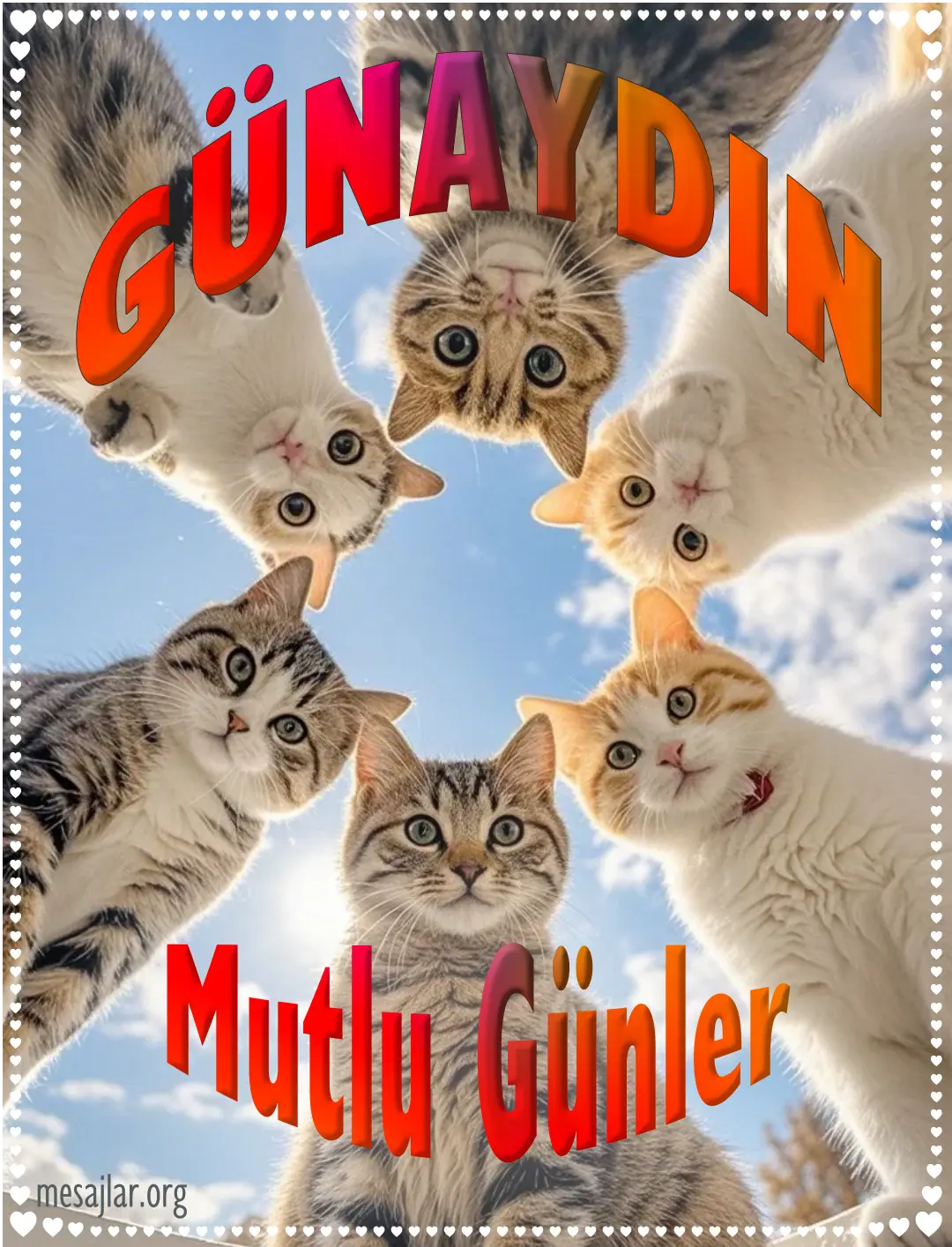 kedi resimli günaydın iyi sabahlar mesajı