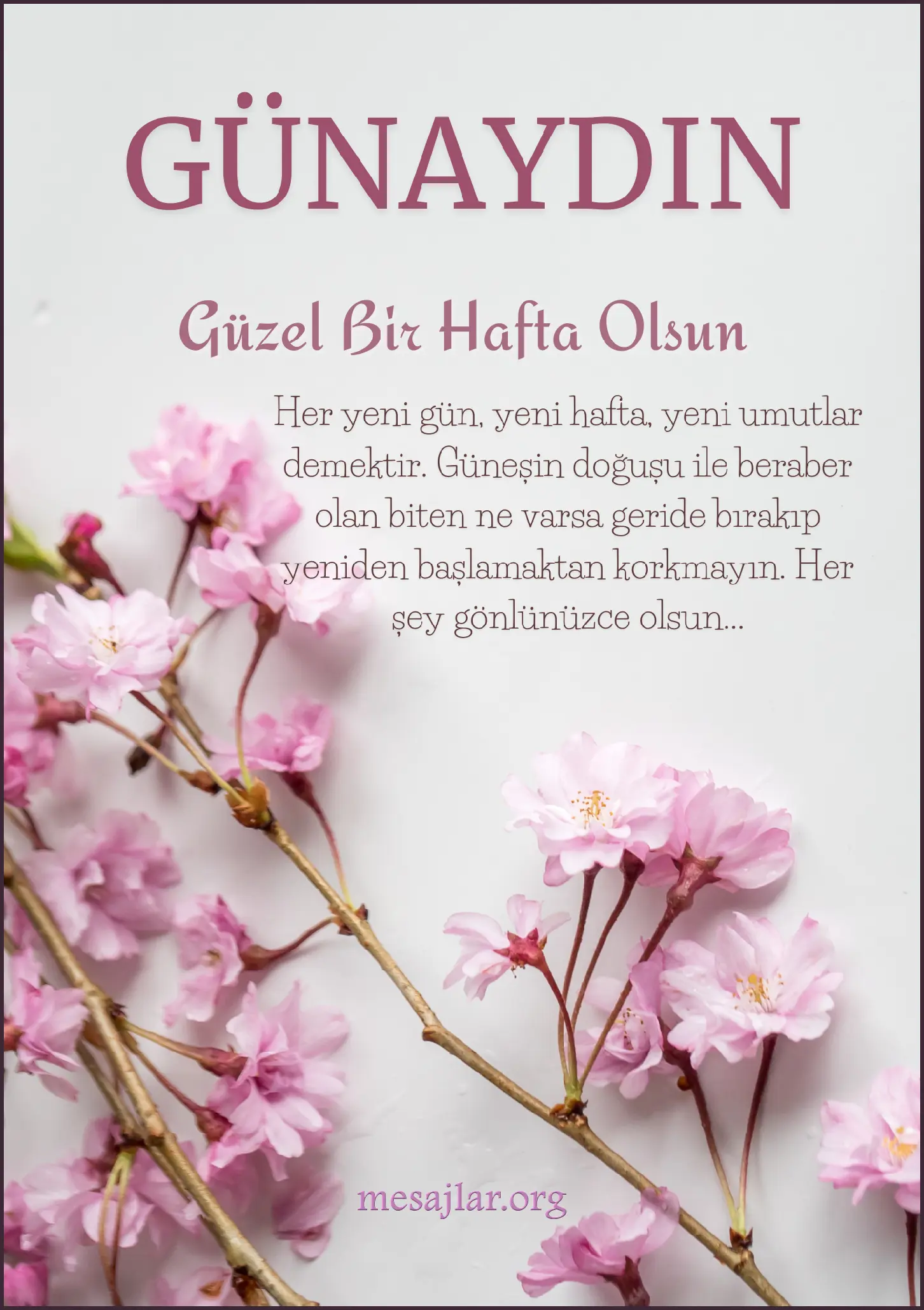 Hafta başı için resimli günaydın mesajı