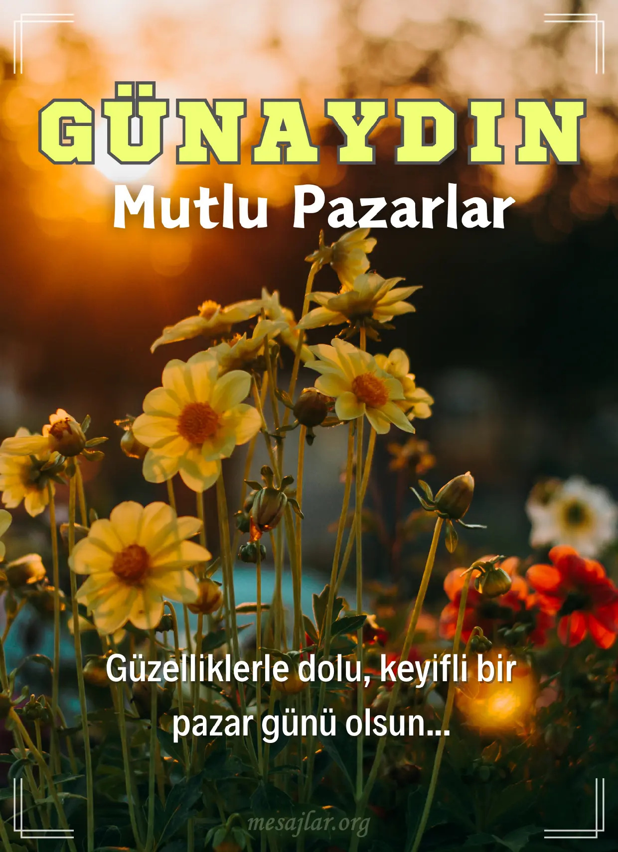 Pazar günü resimli günaydın mutlu pazarlar mesajı