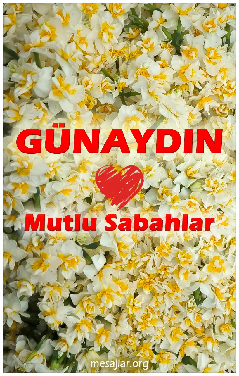 resimli günaydın iyi sabahlar mesajı