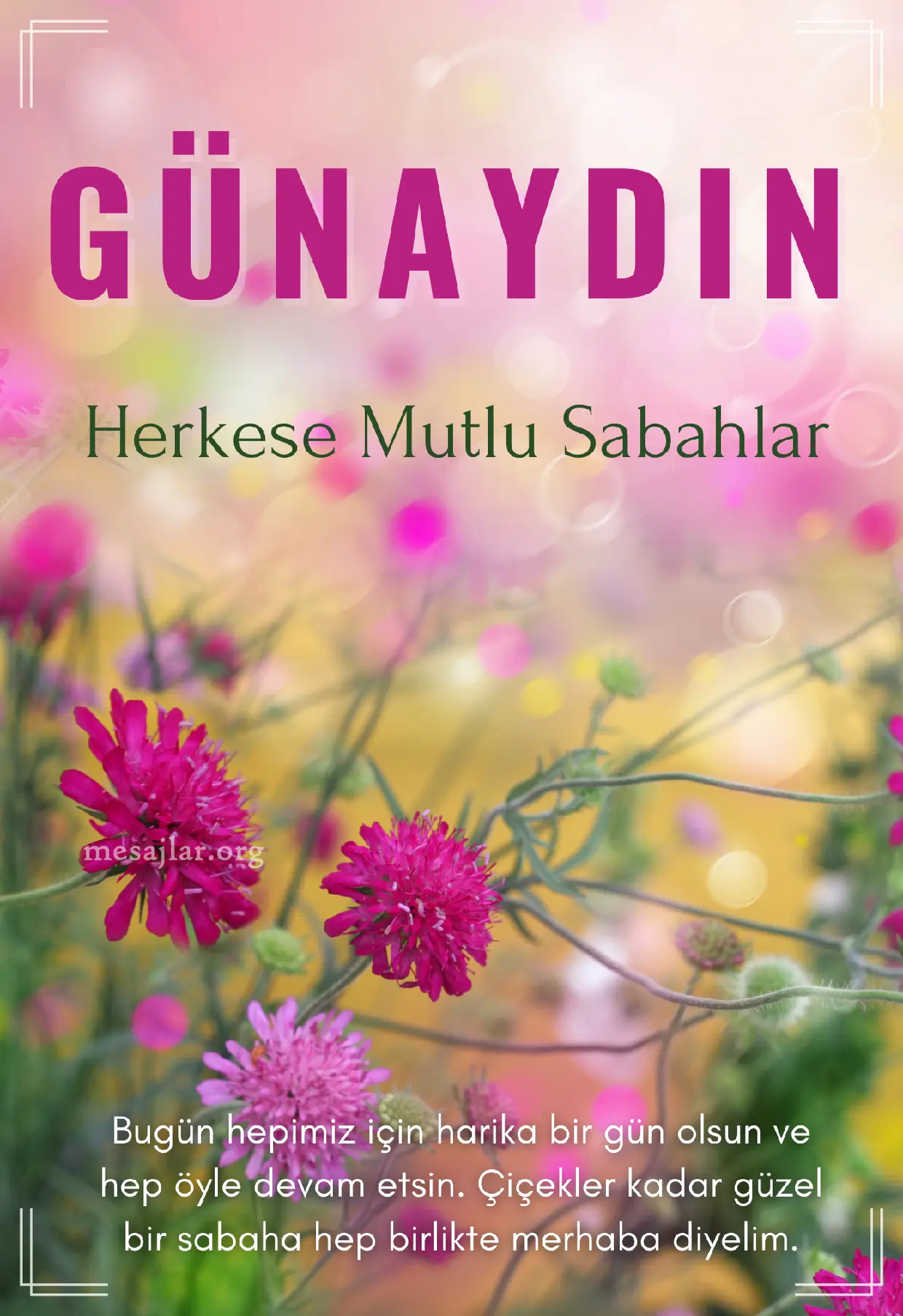 Herkese resimli günaydın iyi sabahlar mesajı