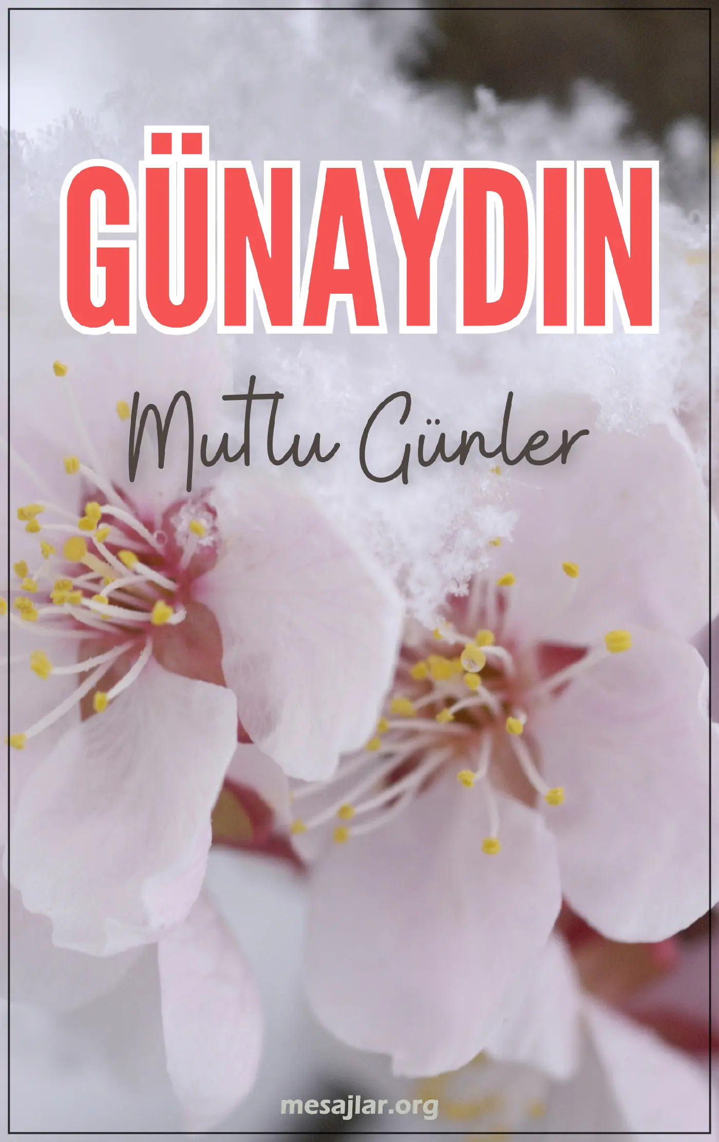 resimli günaydın iyi sabahlar mesajı