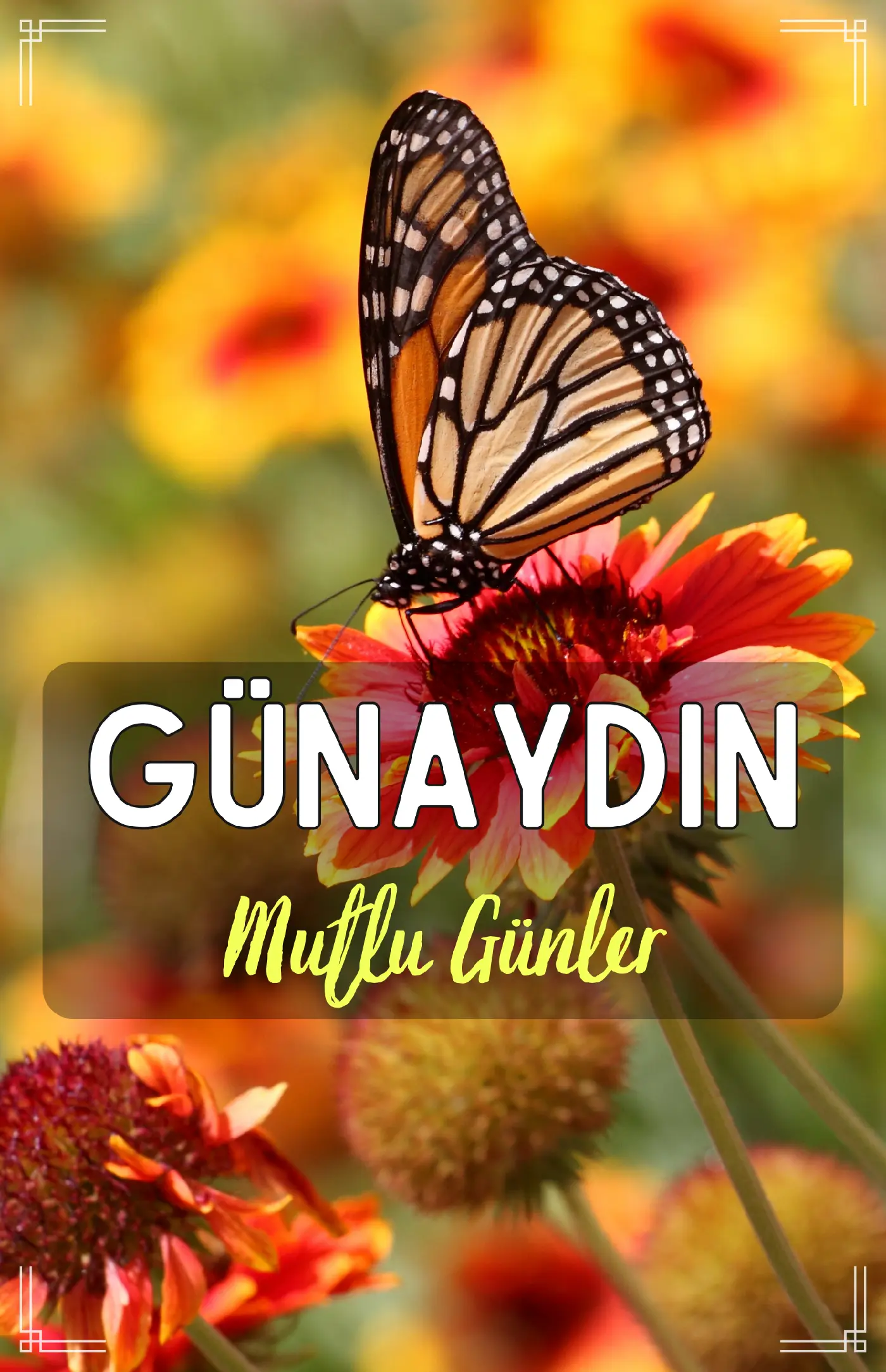 resimli günaydın iyi sabahlar mesajı