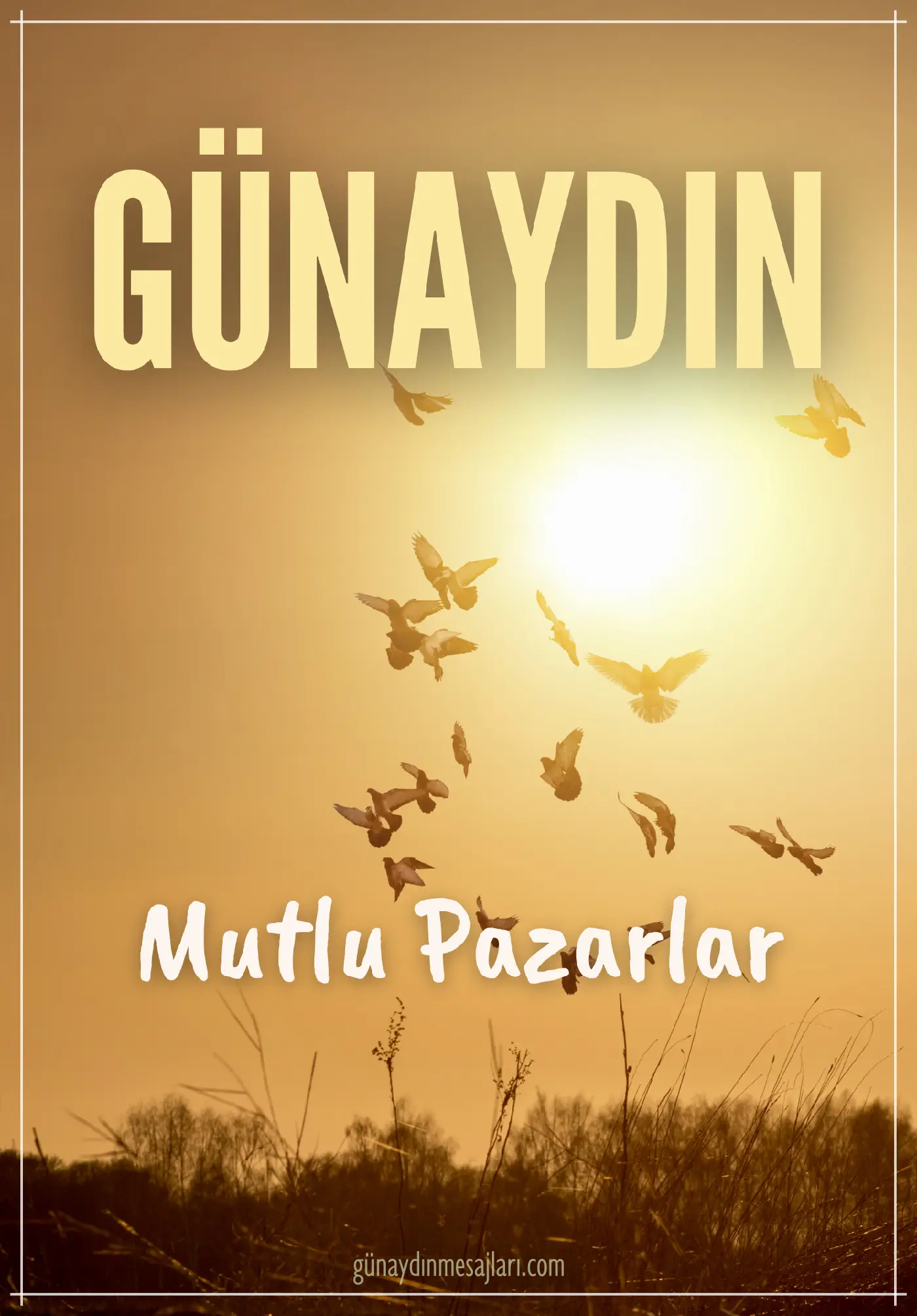 pazar günü resimli günaydın mutlu pazarlar mesajı