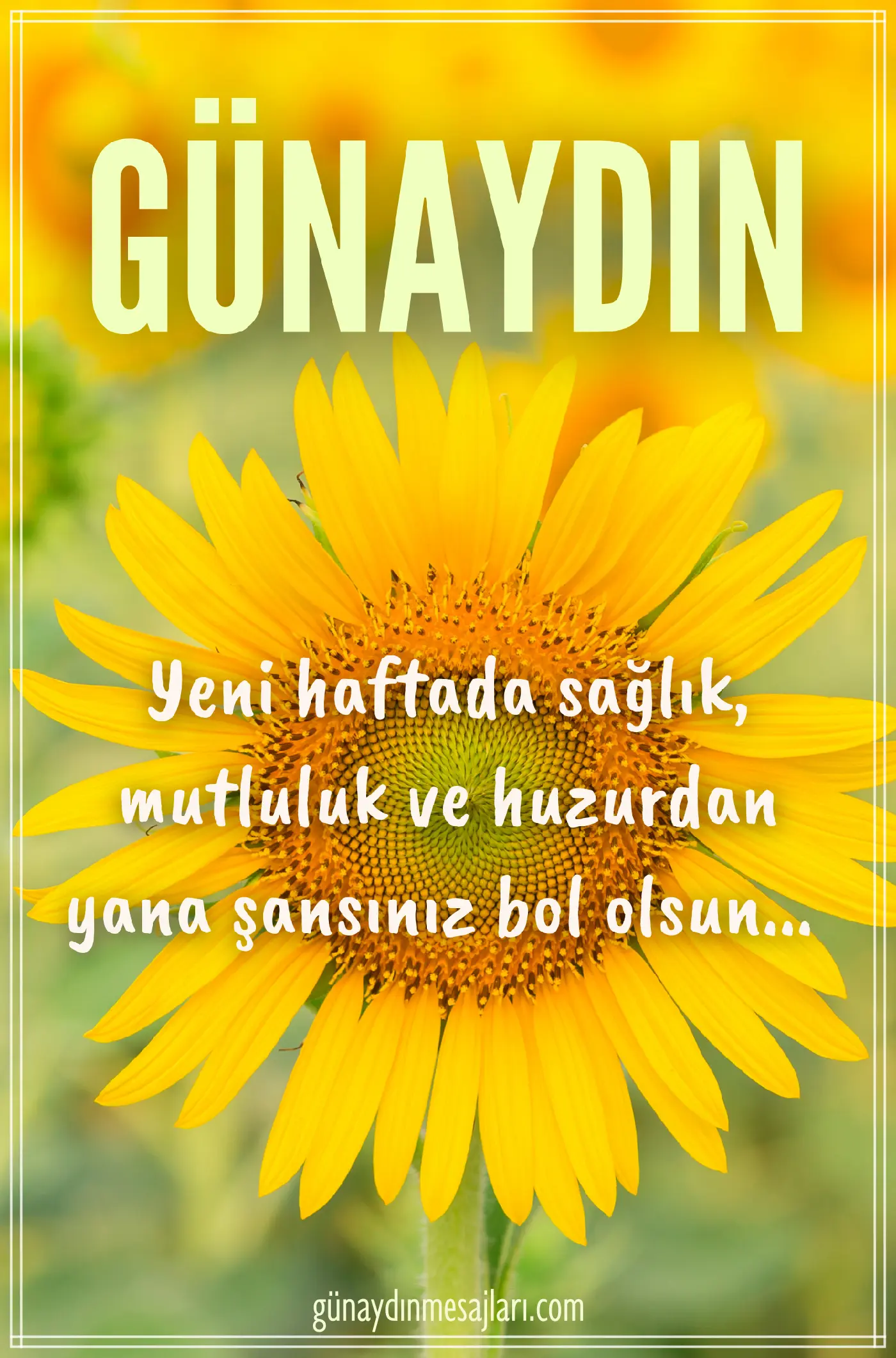 pazartesi günü için resimli günaydın iyi sabahlar mesajı