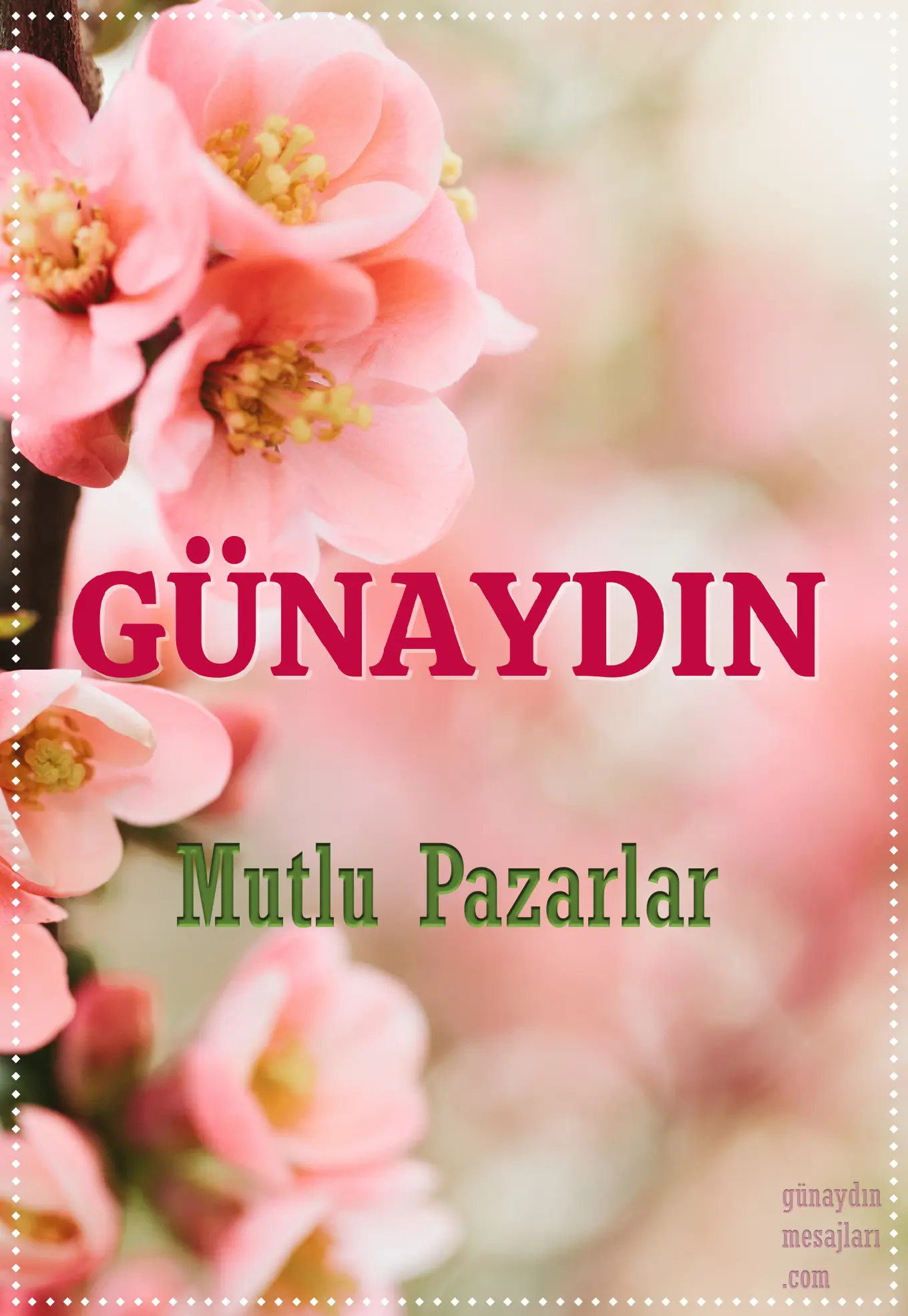 resimli günaydın mutlu pazarlar mesajı