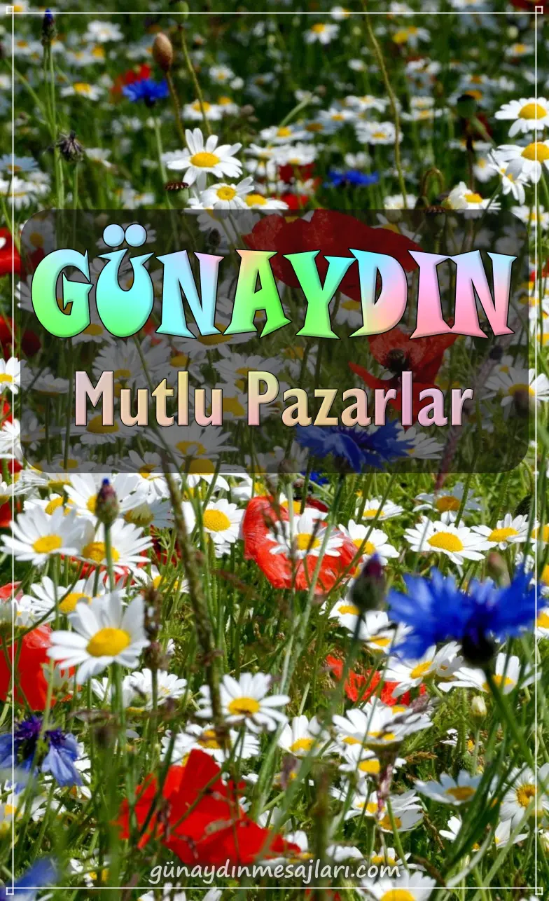 resimli pazar günü günaydın mesajı