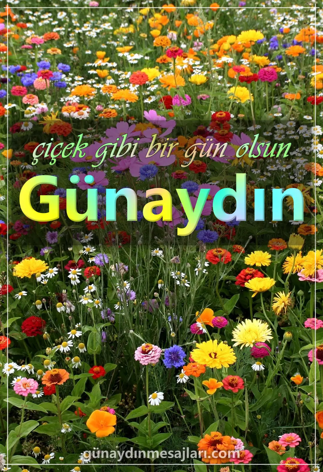 çiçek resimli günaydın mesajı