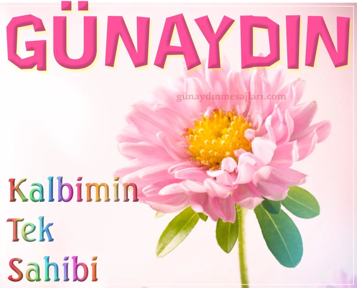 kalbimin tek sahibi resimli günaydın mesajı