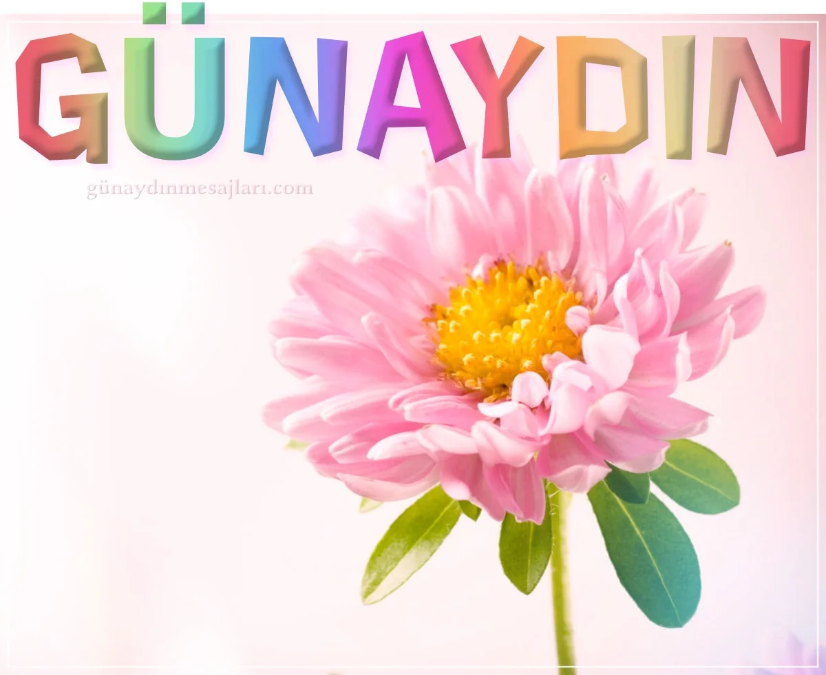 resimli genel günaydın iyi sabahlar mesajı