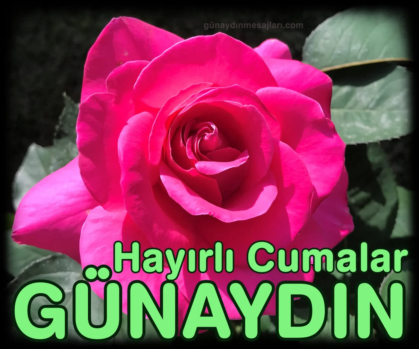 Hayırlı Cumalar resimli günaydın mesajı