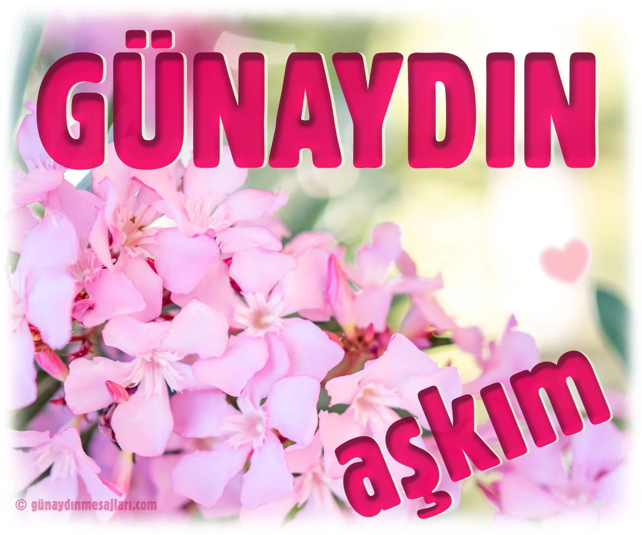 günaydın aşkım resimli günaydın mesajı