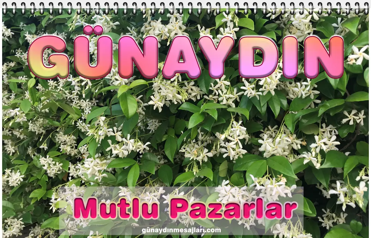 resimli günaydın mutlu pazarlar mesajı