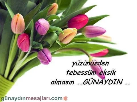 resimli günaydın iyi sabahlar mesajı