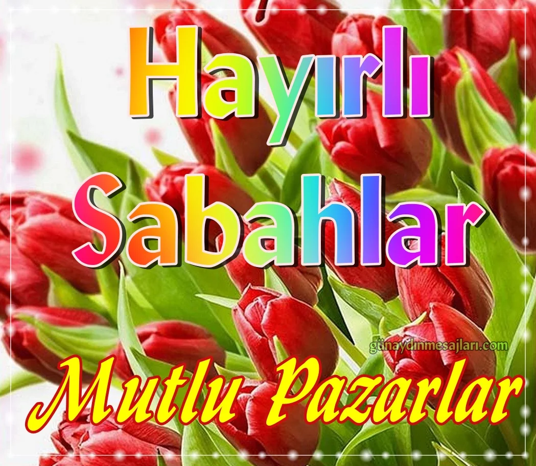 resimli hayırlı sabahlar günaydın mesajı