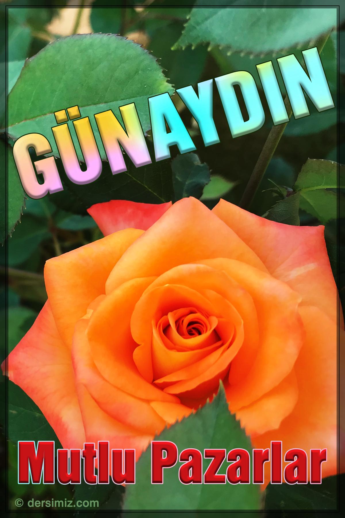 resimli günaydın mutlu pazarlar mesajı 